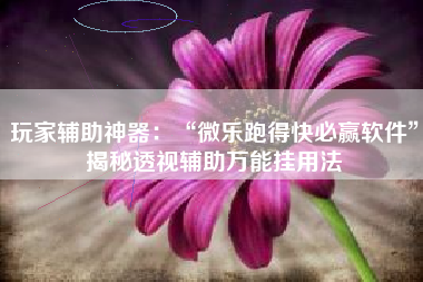 玩家辅助神器：“微乐跑得快必赢软件”揭秘透视辅助万能挂用法
