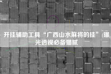 开挂辅助工具“广西山水麻将的挂	”(曝光透视必备猫腻