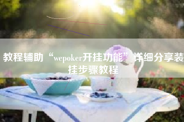 教程辅助“wepoker开挂功能”详细分享装挂步骤教程