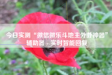 今日实测“微信微乐斗地主外卦神器	”辅助器 - 实时智能回复