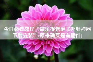 今日必看教程“微乐捉老麻子外卦神器下载安装	”(原来确实是有插件)