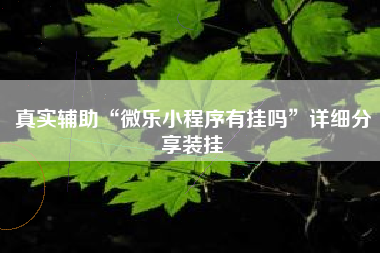 真实辅助“微乐小程序有挂吗	”详细分享装挂