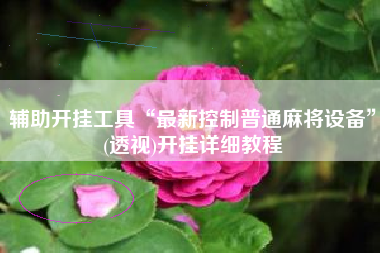 辅助开挂工具“最新控制普通麻将设备”(透视)开挂详细教程