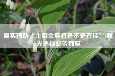真实辅助“土豪金麻将是不是有挂”(曝光透视必备猫腻