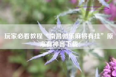 玩家必看教程“南昌微乐麻将有挂	”原来有神器下载