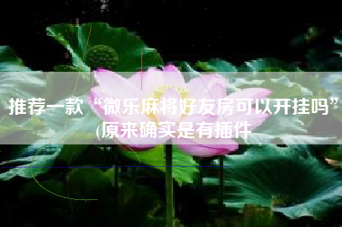 推荐一款“微乐麻将好友房可以开挂吗”(原来确实是有插件