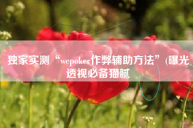 独家实测“wepoker作弊辅助方法”(曝光透视必备猫腻