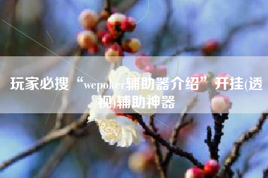 玩家必搜“wepoker辅助器介绍	”开挂(透视)辅助神器