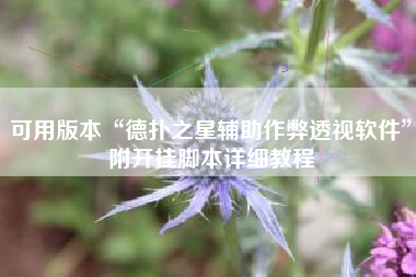 可用版本“德扑之星辅助作弊透视软件”附开挂脚本详细教程