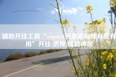 辅助开挂工具“wepoker到底透视挂有没有用”开挂(透视)辅助神器