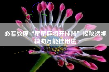 必看教程“星星麻将开挂器”揭秘透视辅助万能挂用法