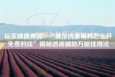 玩家辅助神器：“微乐内蒙麻将怎么开免费的挂	”揭秘透视辅助万能挂用法