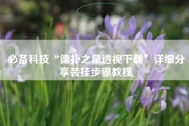 必备科技“德扑之星透视下载”详细分享装挂步骤教程