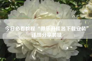 今日必看教程“微乐开挂器下载安装”详细分享装挂