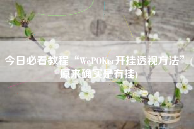 今日必看教程“WePOKer开挂透视方法”(原来确实是有挂)