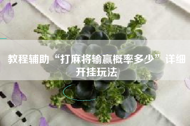 教程辅助“打麻将输赢概率多少”详细开挂玩法