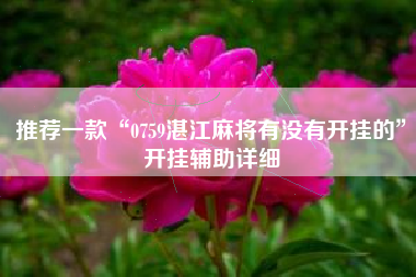 推荐一款“0759湛江麻将有没有开挂的	”开挂辅助详细