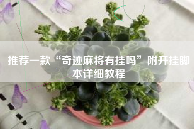 推荐一款“奇迹麻将有挂吗”附开挂脚本详细教程