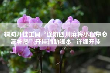 辅助开挂工具“途游四川麻将小程序必赢神器”开挂辅助脚本+详细开挂