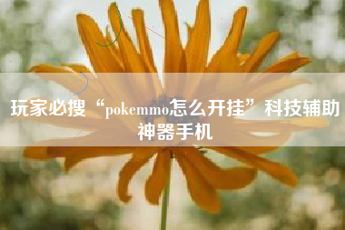 玩家必搜“pokemmo怎么开挂”科技辅助神器手机