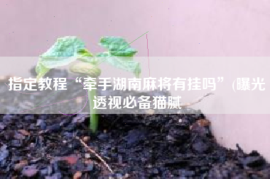 指定教程“牵手湖南麻将有挂吗”(曝光透视必备猫腻