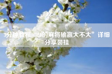 3分钟教程“20的麻将输赢大不大”详细分享装挂