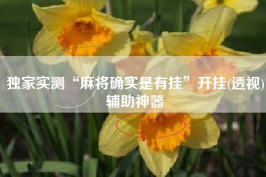 独家实测“麻将确实是有挂	”开挂(透视)辅助神器