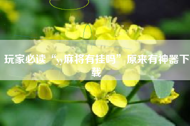 玩家必读“yy麻将有挂吗”原来有神器下载