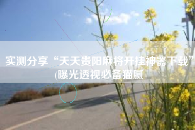 实测分享“天天贵阳麻将开挂神器下载	”(曝光透视必备猫腻