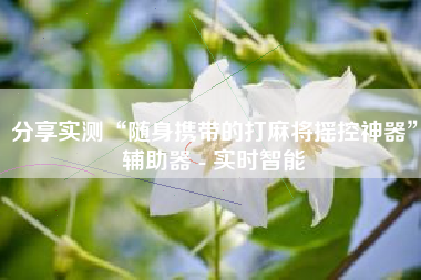 分享实测“随身携带的打麻将摇控神器”辅助器 - 实时智能