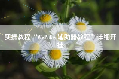 实操教程“WePoker辅助器教程	”详细开挂