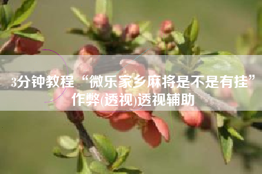 3分钟教程“微乐家乡麻将是不是有挂”作弊(透视)透视辅助