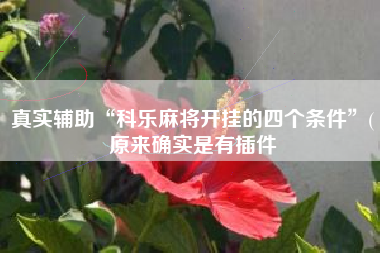 真实辅助“科乐麻将开挂的四个条件”(原来确实是有插件
