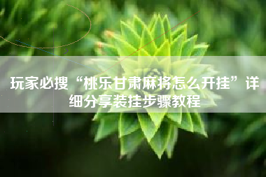 玩家必搜“桃乐甘肃麻将怎么开挂	”详细分享装挂步骤教程