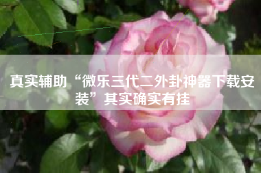 真实辅助“微乐三代二外卦神器下载安装	”其实确实有挂