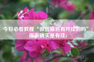 今日必看教程“微信麻将有开挂的吗	”(原来确实是有挂)