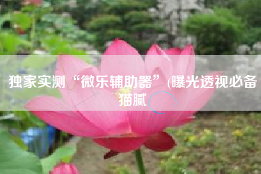 独家实测“微乐辅助器”(曝光透视必备猫腻