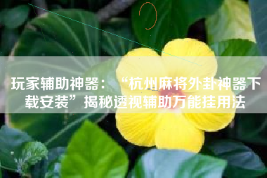 玩家辅助神器：“杭州麻将外卦神器下载安装”揭秘透视辅助万能挂用法