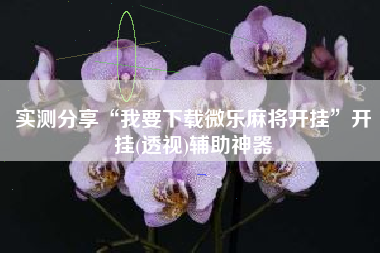 实测分享“我要下载微乐麻将开挂”开挂(透视)辅助神器