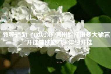 教程辅助“10块20的德州能打出多大输赢	”开挂辅助脚本+详细开挂