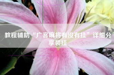 教程辅助“广客麻将有没有挂”详细分享装挂