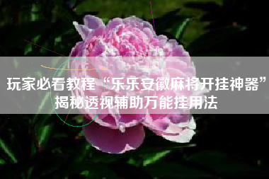 玩家必看教程“乐乐安徽麻将开挂神器	”揭秘透视辅助万能挂用法