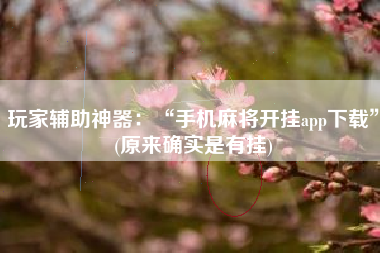 玩家辅助神器：“手机麻将开挂app下载	”(原来确实是有挂)