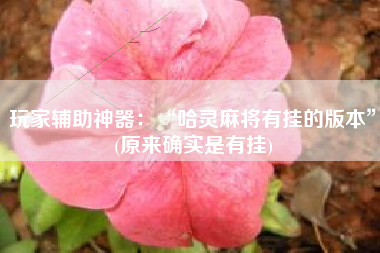 玩家辅助神器：“哈灵麻将有挂的版本”(原来确实是有挂)