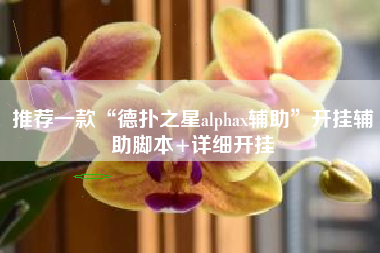 推荐一款“德扑之星alphax辅助”开挂辅助脚本+详细开挂