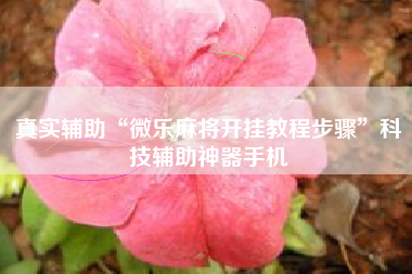 真实辅助“微乐麻将开挂教程步骤	”科技辅助神器手机