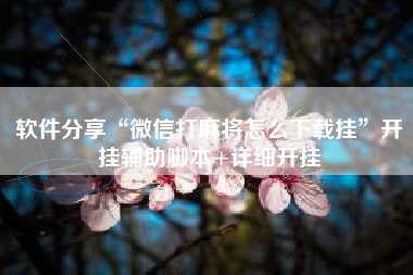 软件分享“微信打麻将怎么下载挂”开挂辅助脚本+详细开挂