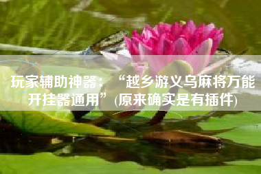 玩家辅助神器：“越乡游义乌麻将万能开挂器通用”(原来确实是有插件)