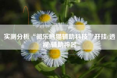 实测分析“微乐熊猫辅助科技”开挂(透视)辅助神器