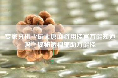 专家分析“玩大唐麻将用挂官方能知道吗	”揭秘透视辅助万能挂